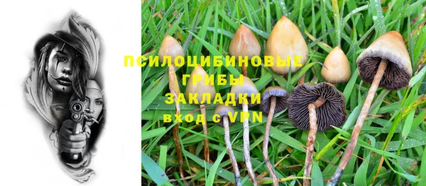 скорость Инта
