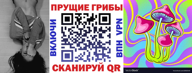 Псилоцибиновые грибы GOLDEN TEACHER  Купить  Гороховец 
